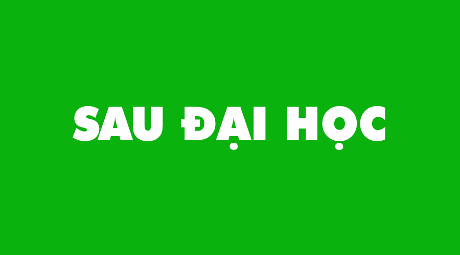 SAU ĐẠI HỌC